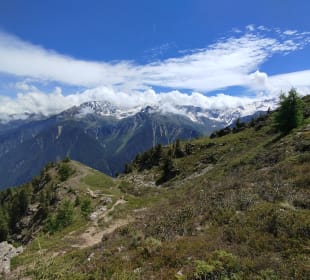 Ausblick