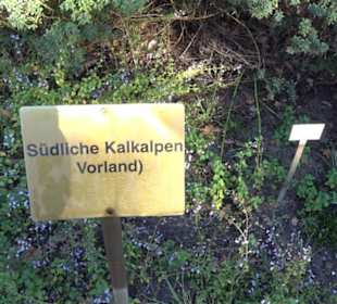 Botanischer Garten
