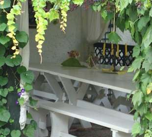 Blick in die Laube