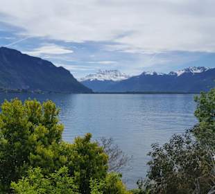 Blick auf den Genfer See