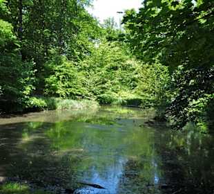 Der obere Teich im Wesselhöftpark