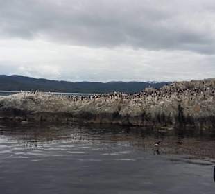 Les Eclaireurs Leuchtturm
