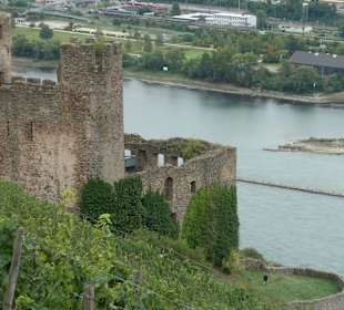 Rüdesheimer Berg
