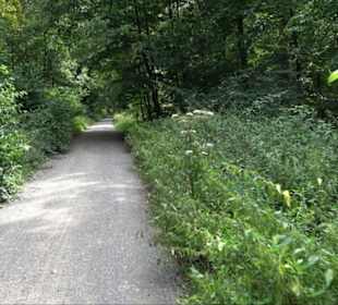 Sonnenaufgangs-Rundwanderung Rübgarten