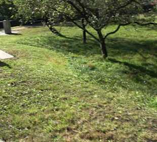 Prozessions- & Andachtsweg