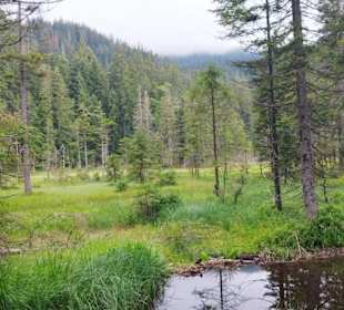 Kleiner Arbersee