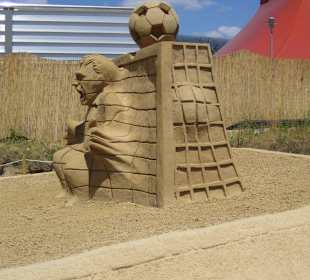 Sandation 2006