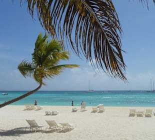 Saona über Andy gebucht