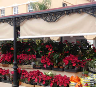 Bunter Markt in Santa Cruz