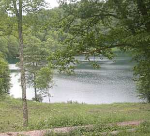 Blick auf Gemünder Maar vom WaldCafe aus