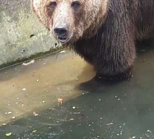 Zoo Schwerin