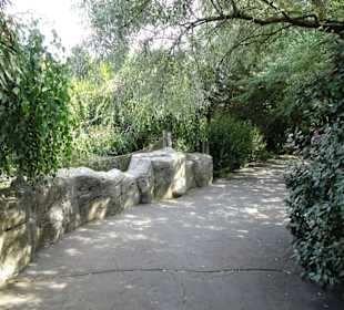 Rundgang durch den Zoo am Meer