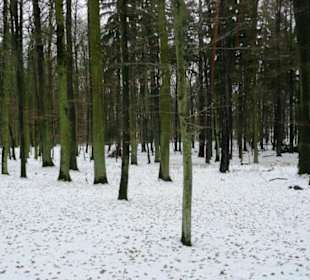 Mitte Dezember 2010 zu Gast