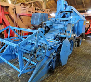 Rundgang durch die Gulfhofanlage des Museums