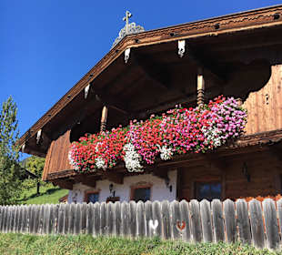Wandern Alpbach