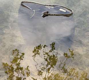 Wandern Diemelsee