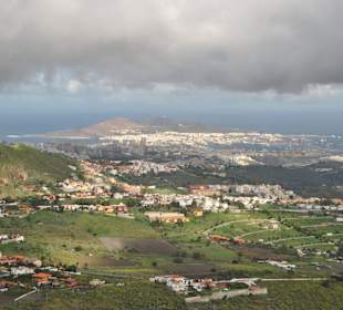 Las palmas widok z gor