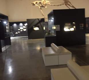 Dinosaurier Museum Altmühltal