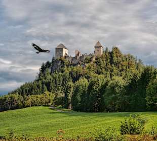 Burgruine Gallenstein
