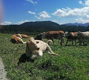 Wandern Reit Im Winkl