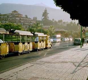 Der Loro-Park-Train