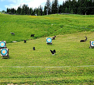 Sport & Freizeit