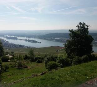 Blick auf den Rhein