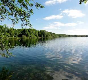 Blick über den Stadtwaldsee