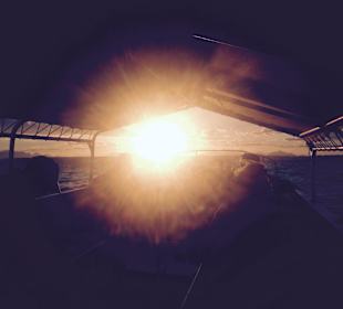 Bootstour mit Sonnenuntergang