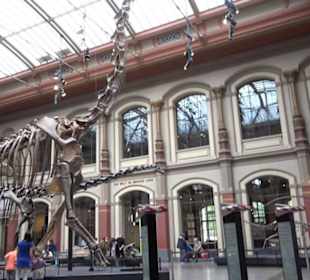 Museum für Naturkunde