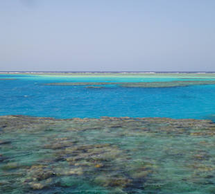 Meer und Korallenriff