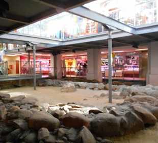 Alte Klosterfundamente unter der Markthalle