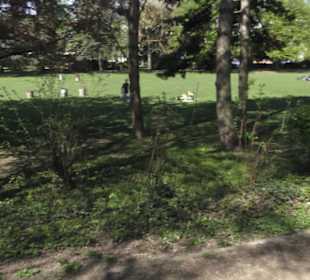 Rheinisches Landesmuseum