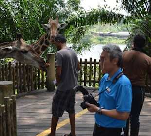Singapur Zoo