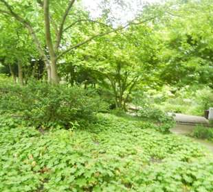 Parkanlage Planten un Blomen