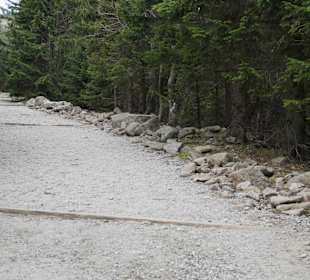 Berg Schneekoppe/Śnieżka
