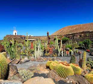 Jardin de Cactus / Kaktusgarten Guatiza