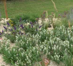 Blühendes Neresheim