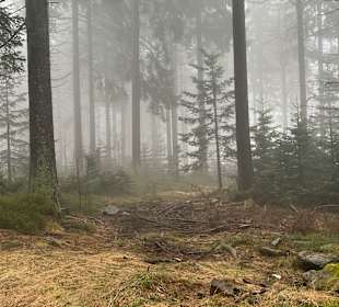 Wandern Grainet