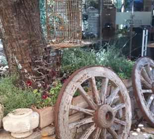 Ali's Ausflüge Avsallar