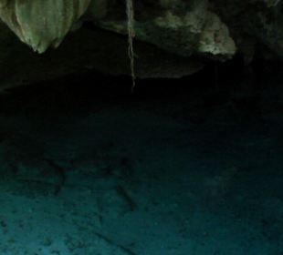Cenote dos Ojos