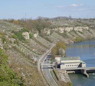 Unterhalb der Felsen , die Weinberge