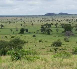Sarova Salt Lick Game Lodge
