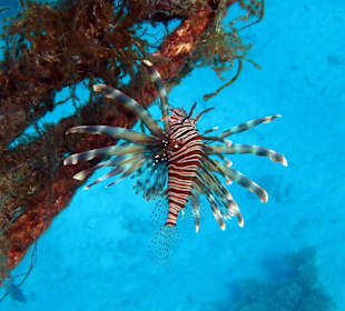 Bilder vom 13.10.16 von mir geschossen