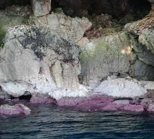Zorbas Boat Trip