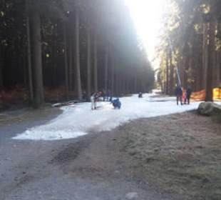 Unterhalb der Seilbahn befindet sich die Rodelbahn