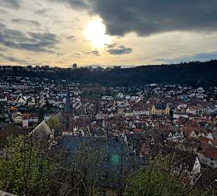 Ausblick Burg Werheim