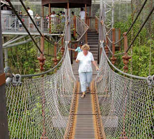 Hängebrücke in der Freiflughalle