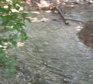 Wiesaztal Gönningen