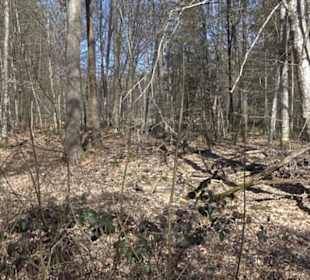 Historischer Rundwanderweg Aichtal